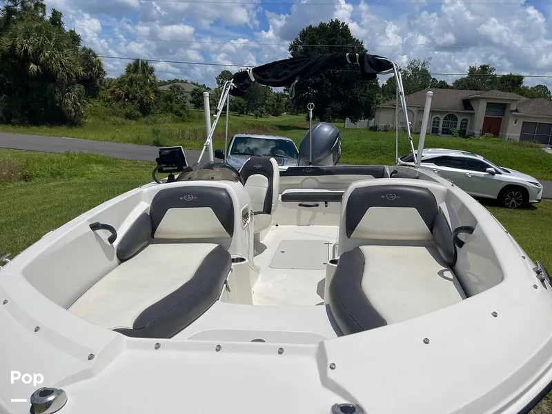 Slide: The Image of Stingray SC 182 2019 - 10970959