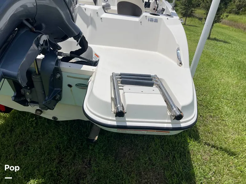 Slide: The Image of Stingray SC 182 2019 - 10970936