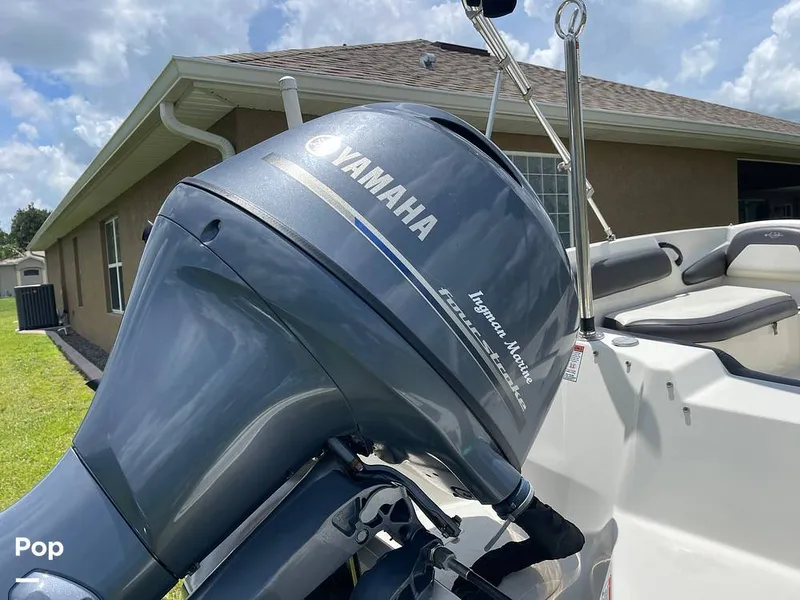 Slide: The Image of Stingray SC 182 2019 - 10970938