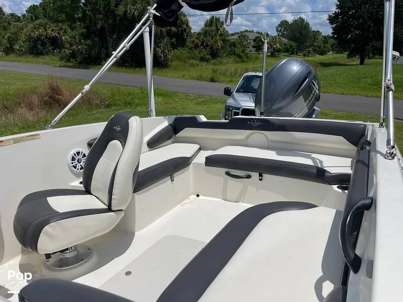 Slide: The Image of Stingray SC 182 2019 - 10970960