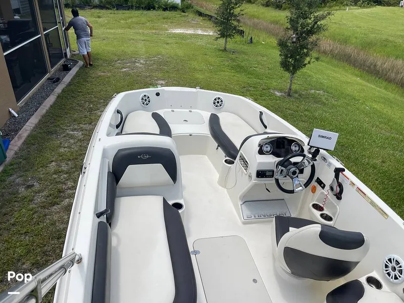 Slide: The Image of Stingray SC 182 2019 - 10970993