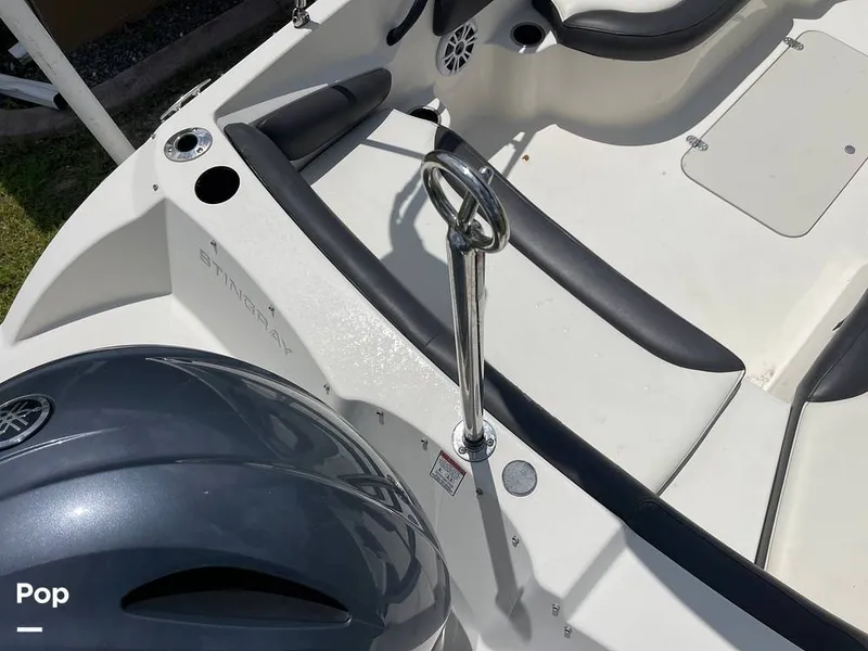 Slide: The Image of Stingray SC 182 2019 - 10970962