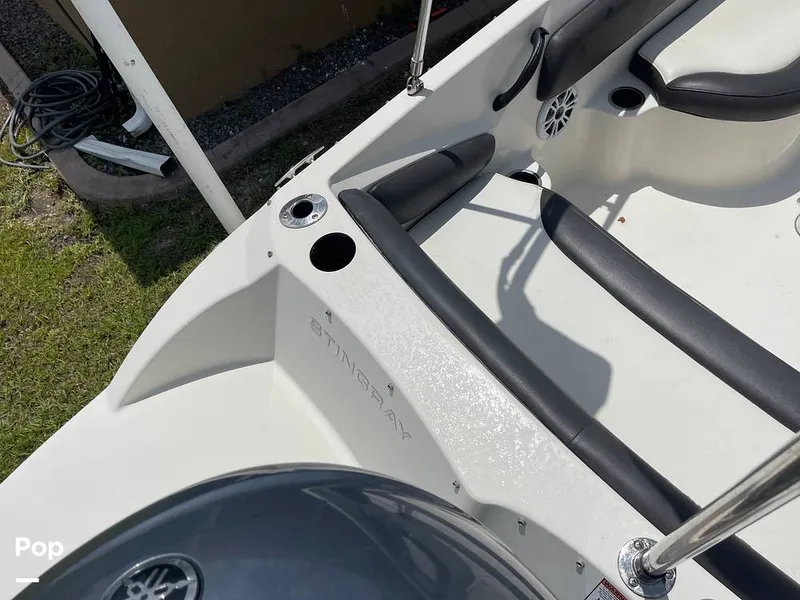 Slide: The Image of Stingray SC 182 2019 - 10970965