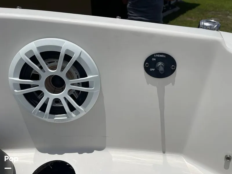 Slide: The Image of Stingray SC 182 2019 - 10970974