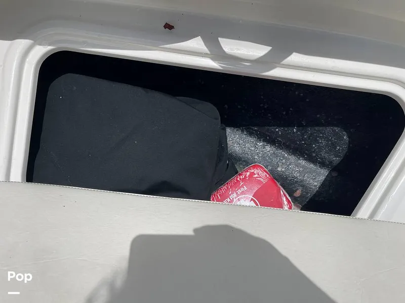 Slide: The Image of Stingray SC 182 2019 - 10970976