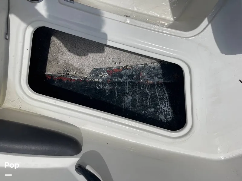 Slide: The Image of Stingray SC 182 2019 - 10970978