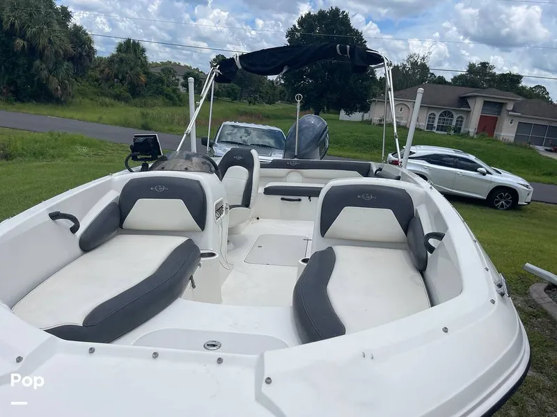 Slide: The Image of Stingray SC 182 2019 - 10971024