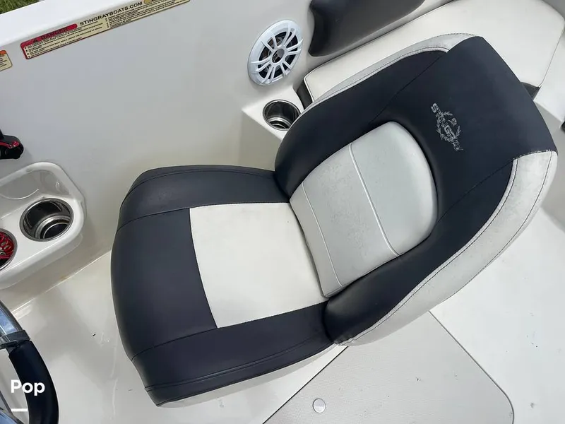 Slide: The Image of Stingray SC 182 2019 - 10970980