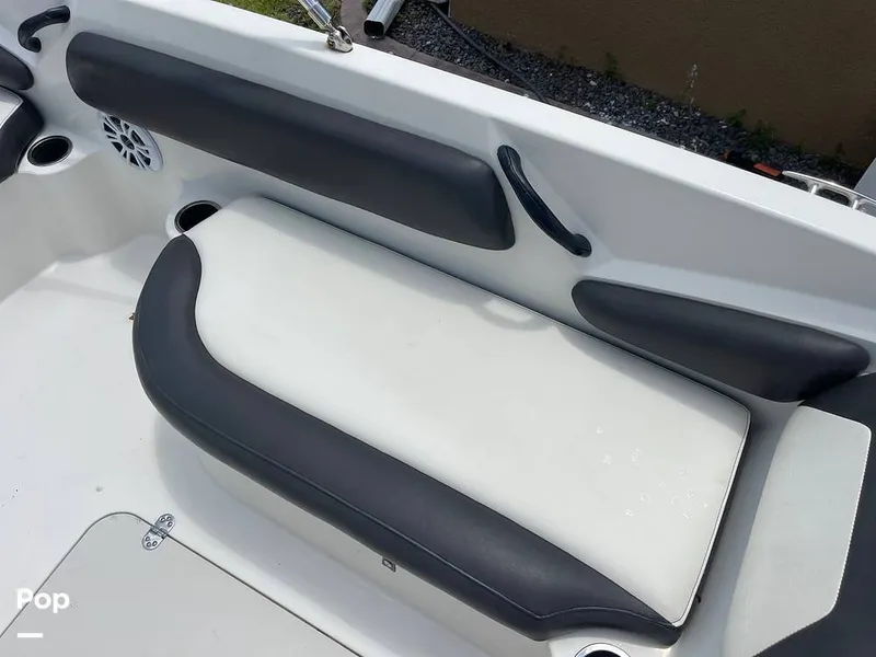 Slide: The Image of Stingray SC 182 2019 - 10970981