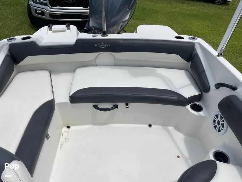 Slide: The Image of Stingray SC 182 2019 - 10970983