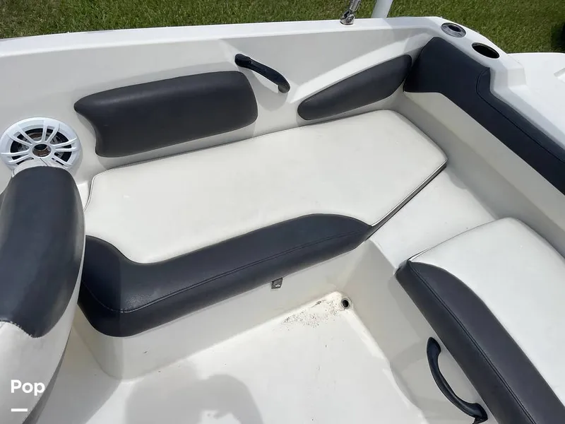 Slide: The Image of Stingray SC 182 2019 - 10970984