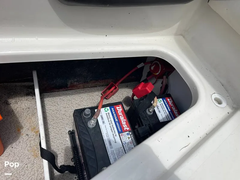 Slide: The Image of Stingray SC 182 2019 - 10970985