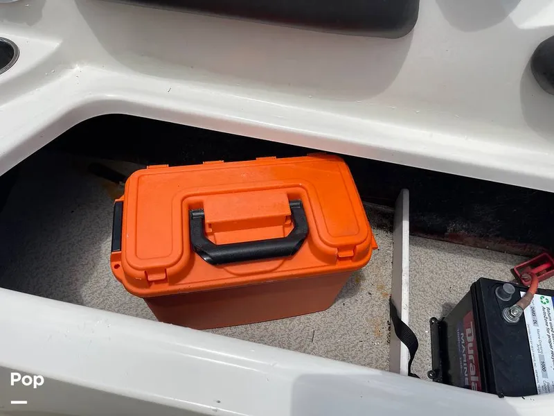 Slide: The Image of Stingray SC 182 2019 - 10970987