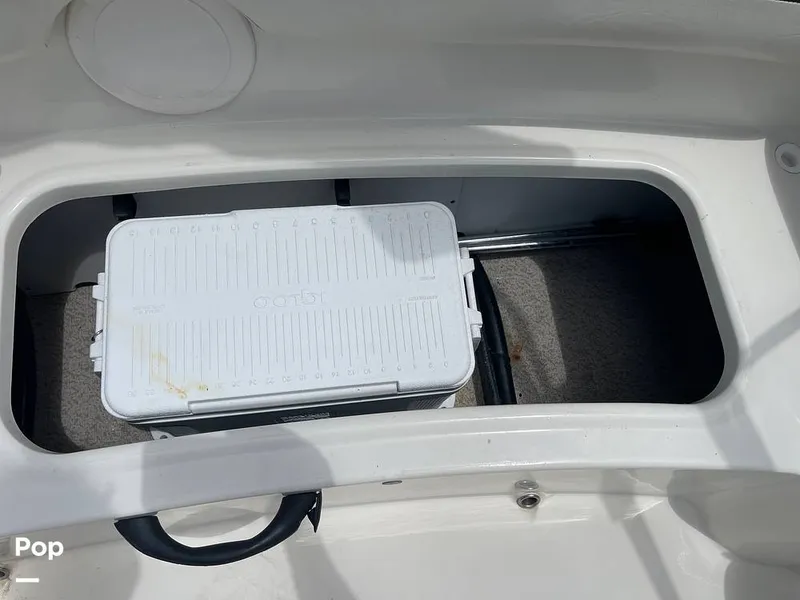 Slide: The Image of Stingray SC 182 2019 - 10970988