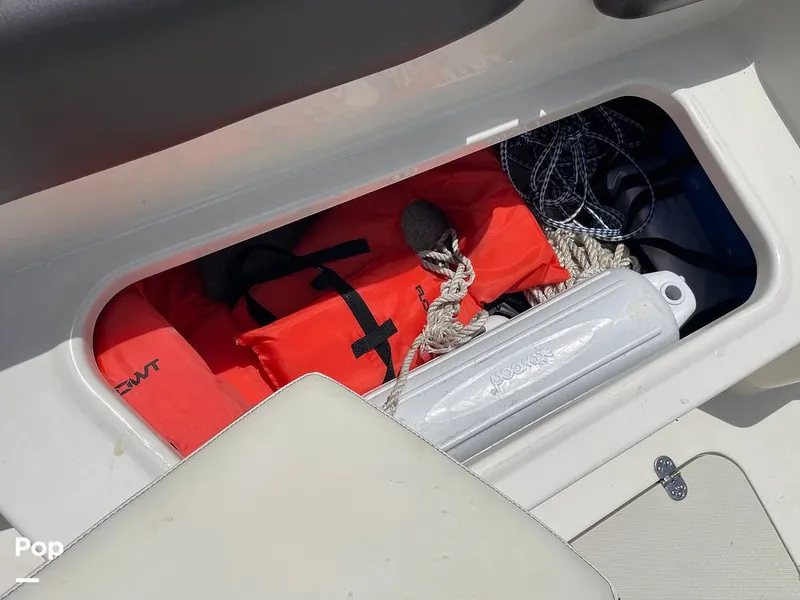 Slide: The Image of Stingray SC 182 2019 - 10970990