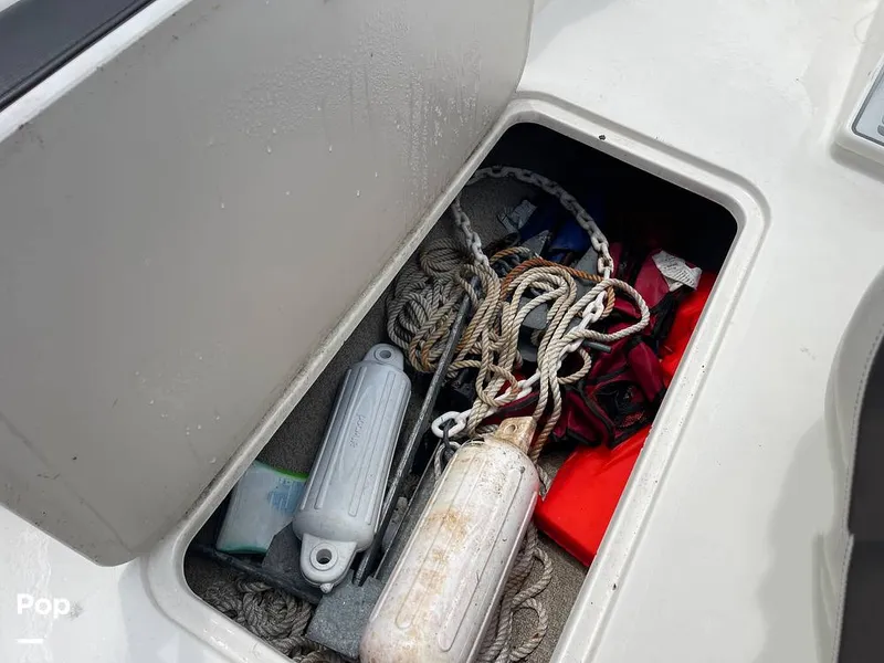 Slide: The Image of Stingray SC 182 2019 - 10970992