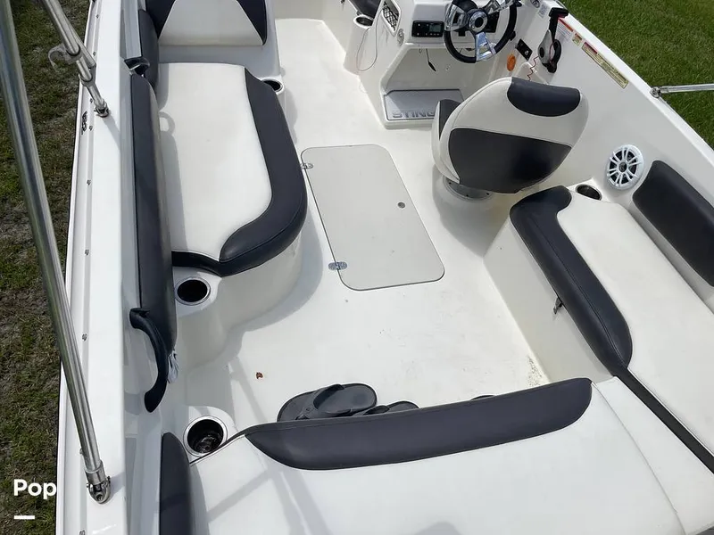 Slide: The Image of Stingray SC 182 2019 - 10970996