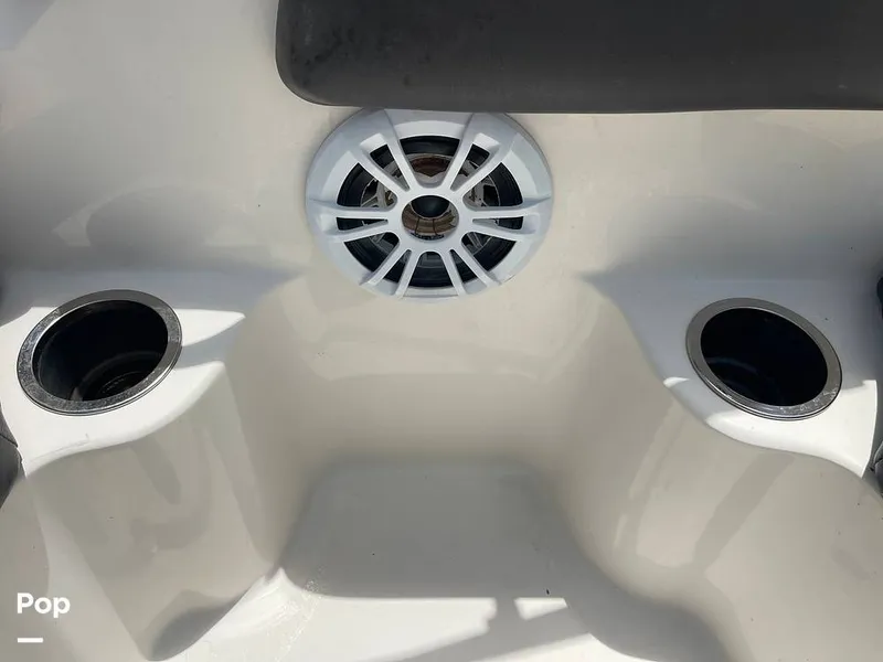 Slide: The Image of Stingray SC 182 2019 - 10970998