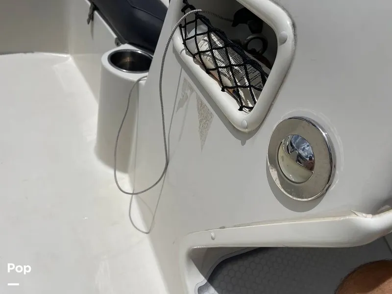 Slide: The Image of Stingray SC 182 2019 - 10971001