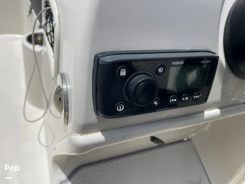 Slide: The Image of Stingray SC 182 2019 - 10971002