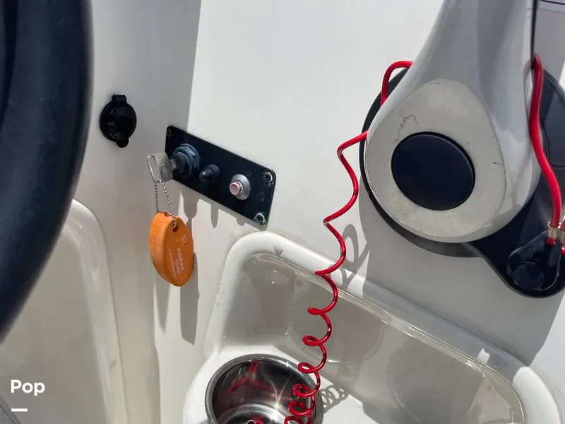 Slide: The Image of Stingray SC 182 2019 - 10971007