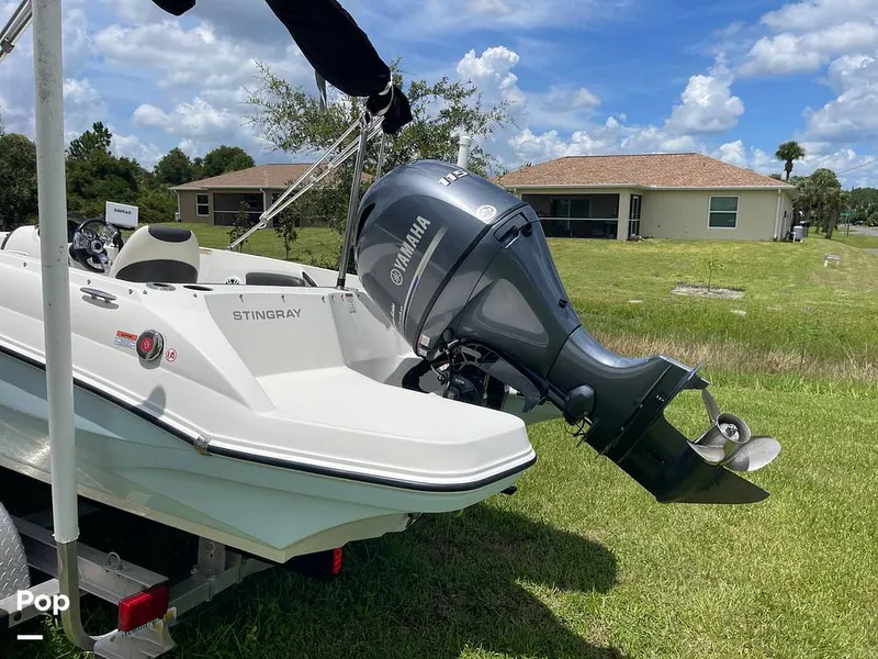 Slide: The Image of Stingray SC 182 2019 - 10971597