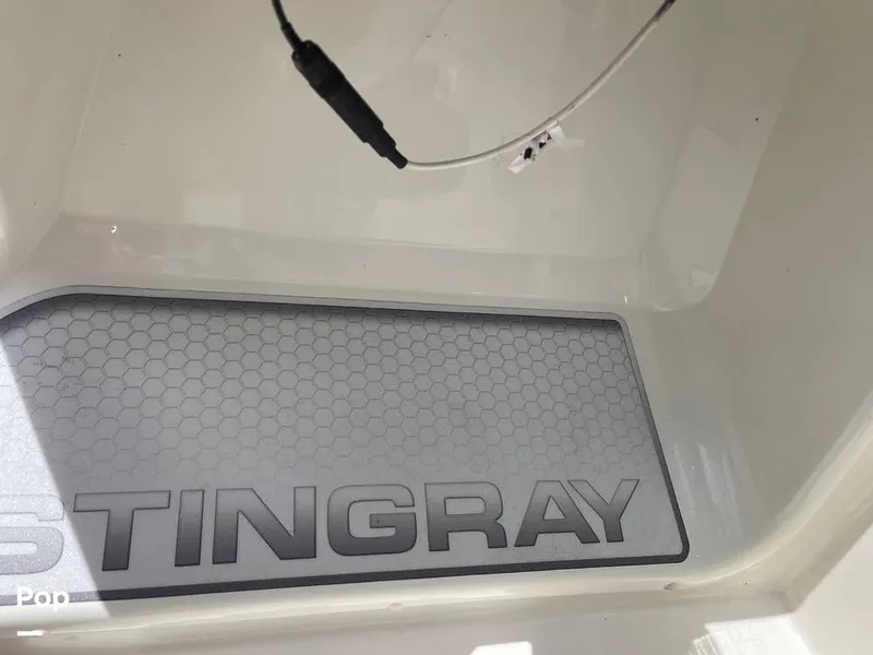 Slide: The Image of Stingray SC 182 2019 - 10971012