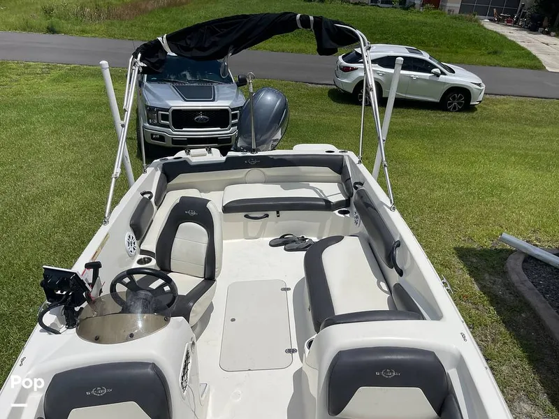 Slide: The Image of Stingray SC 182 2019 - 10971016