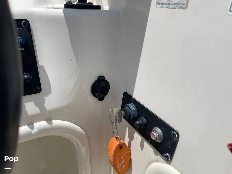 Slide: The Image of Stingray SC 182 2019 - 10971017