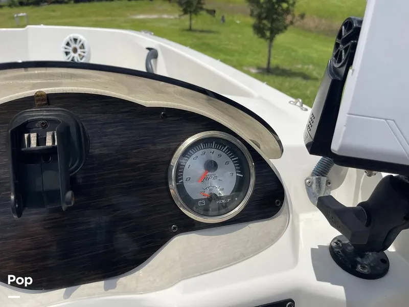 Slide: The Image of Stingray SC 182 2019 - 10971018