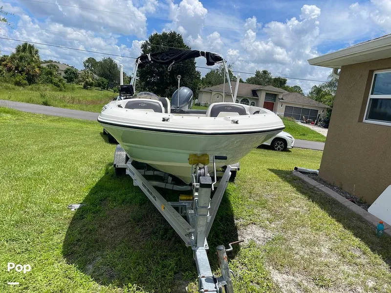 Slide: The Image of Stingray SC 182 2019 - 10970915