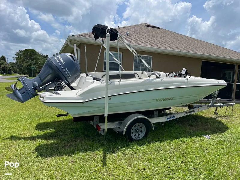 Slide: The Image of Stingray SC 182 2019 - 10970927