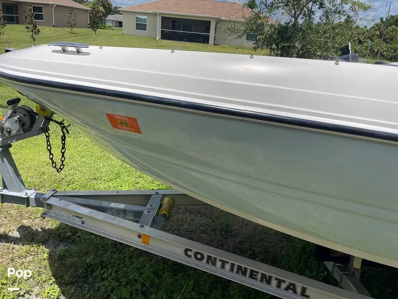 Slide: The Image of Stingray SC 182 2019 - 10971581