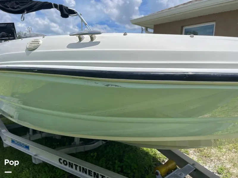 Slide: The Image of Stingray SC 182 2019 - 10970920