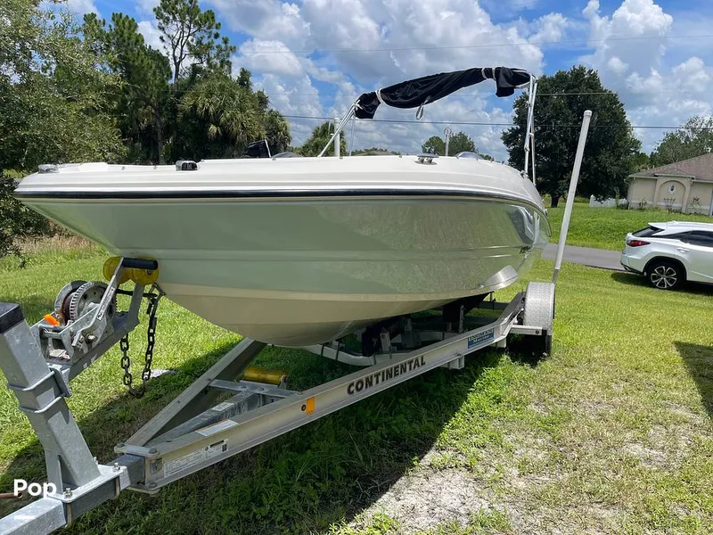 Slide: The Image of Stingray SC 182 2019 - 10971575