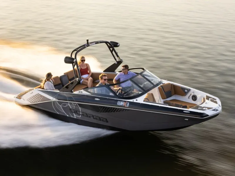 The Image of Scarab 215 ID 2022 - 0