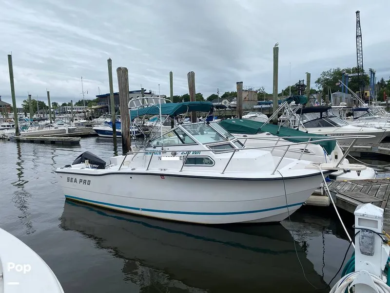 The Image of Sea Pro 230 WA 1995 - undefined