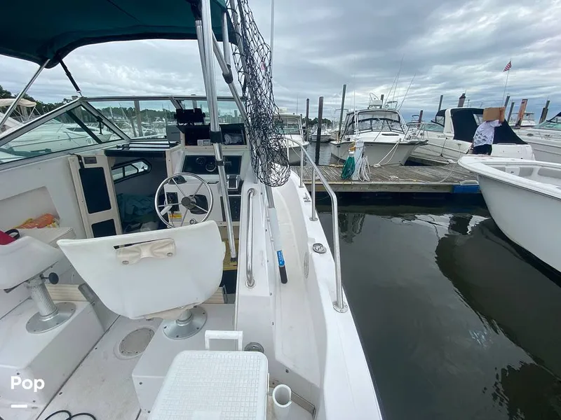 Slide: The Image of Sea Pro 230 WA 1995 - 10870817