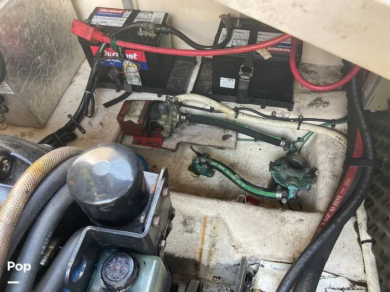 Slide: The Image of Sea Ray 240 Sundancer 2010 - 10796220