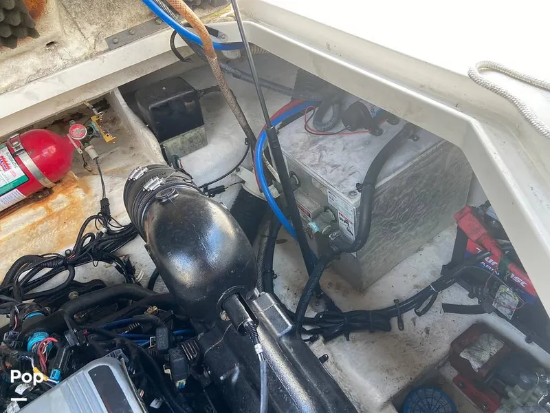 Slide: The Image of Sea Ray 240 Sundancer 2010 - 10796221