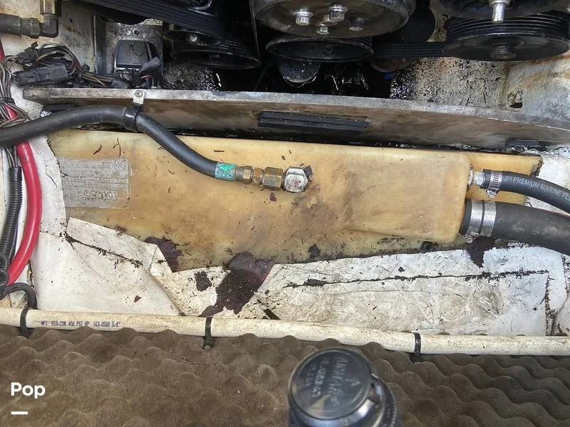 Slide: The Image of Sea Ray 240 Sundancer 2010 - 10796225