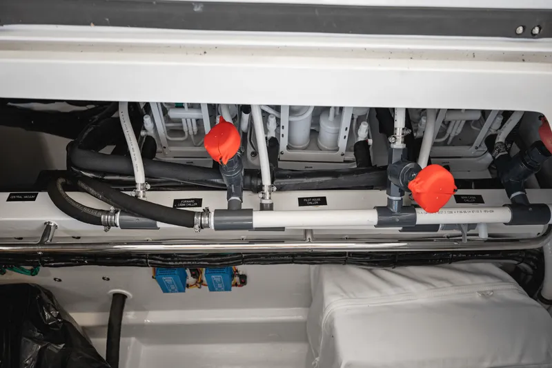 Slide: The Image of MJM 53 Z 2022 - 47