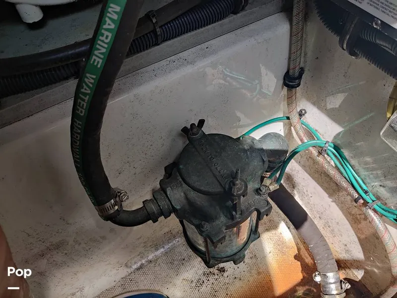 Slide: The Image of Hydra-Sports 3300 VX Vector Express 2005 - 10962254