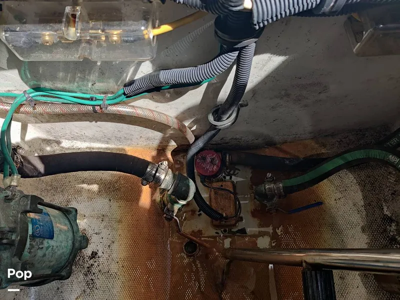 Slide: The Image of Hydra-Sports 3300 VX Vector Express 2005 - 10962255