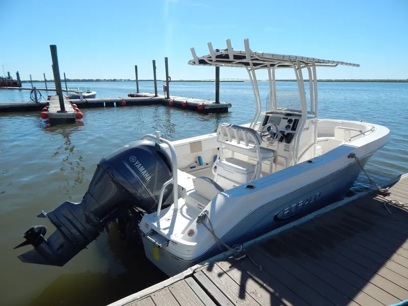 The Image of Robalo R200 2019 - 0