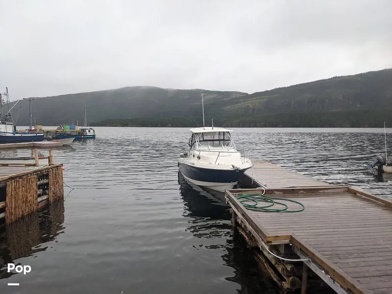 Slide: The Image of Hydra-Sports 2800 WA Vector 2005 - 11043862