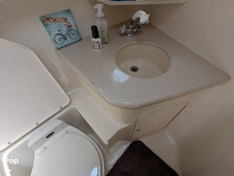 Slide: The Image of Sea Ray 380AC 2001 - 10959168