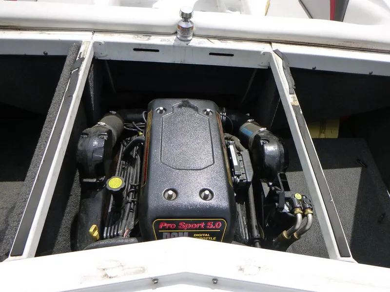 Slide: The Image of Tige Z1 2010 - 11027985