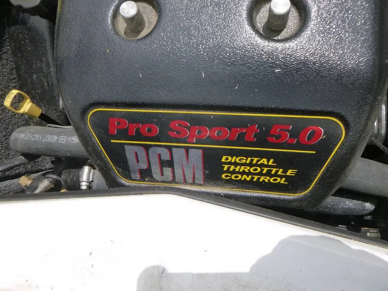 Slide: The Image of Tige Z1 2010 - 11027987