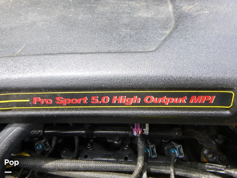 Slide: The Image of Tige Z1 2010 - 11027991